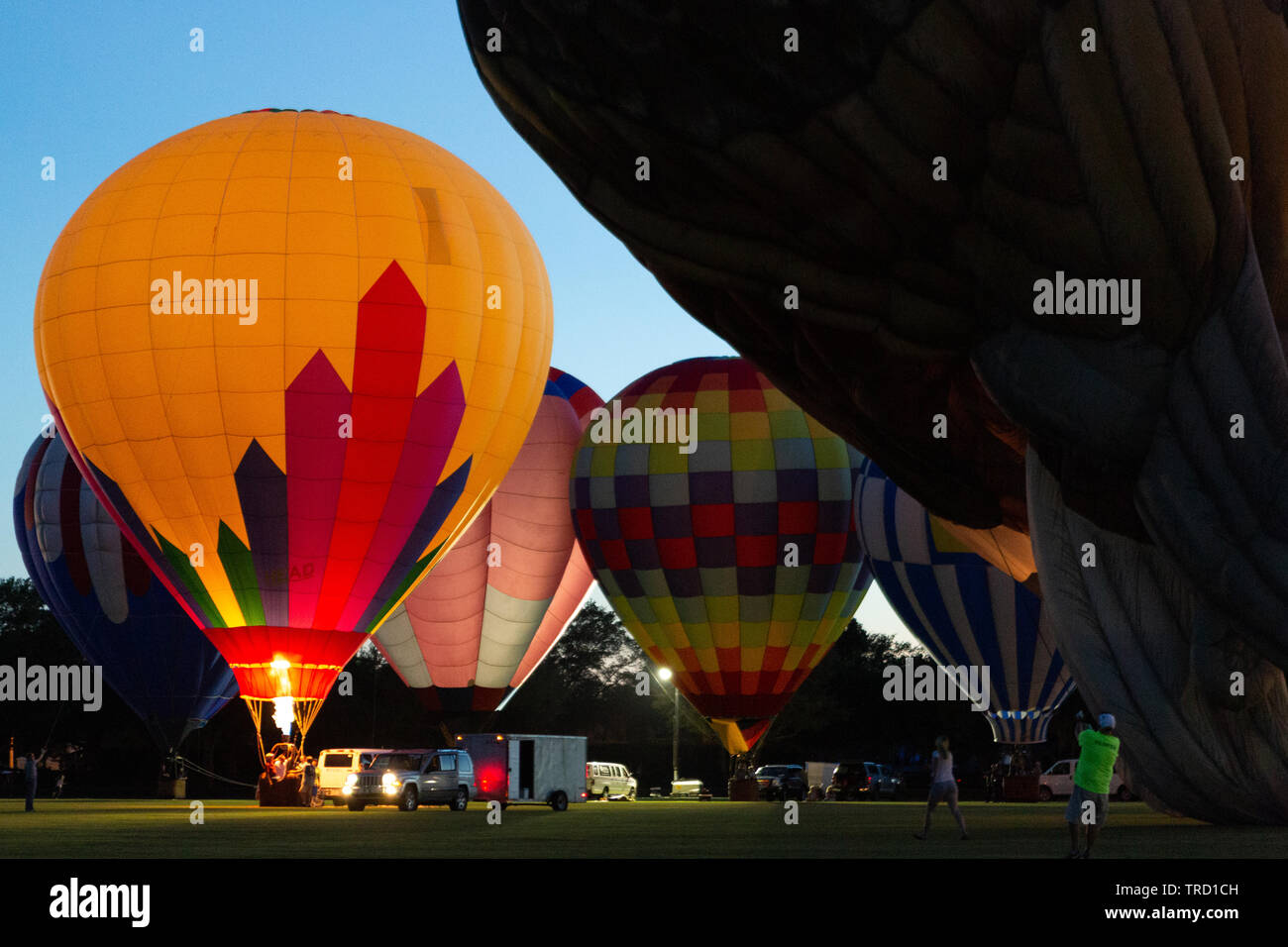 Balloon glow at the 2019 Villages Polo Club Hot Air Balloon Festival