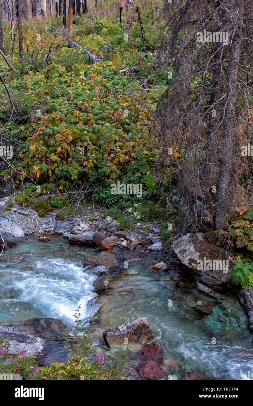 Stream water flowing dead hi-res stock photography and images - Alamy