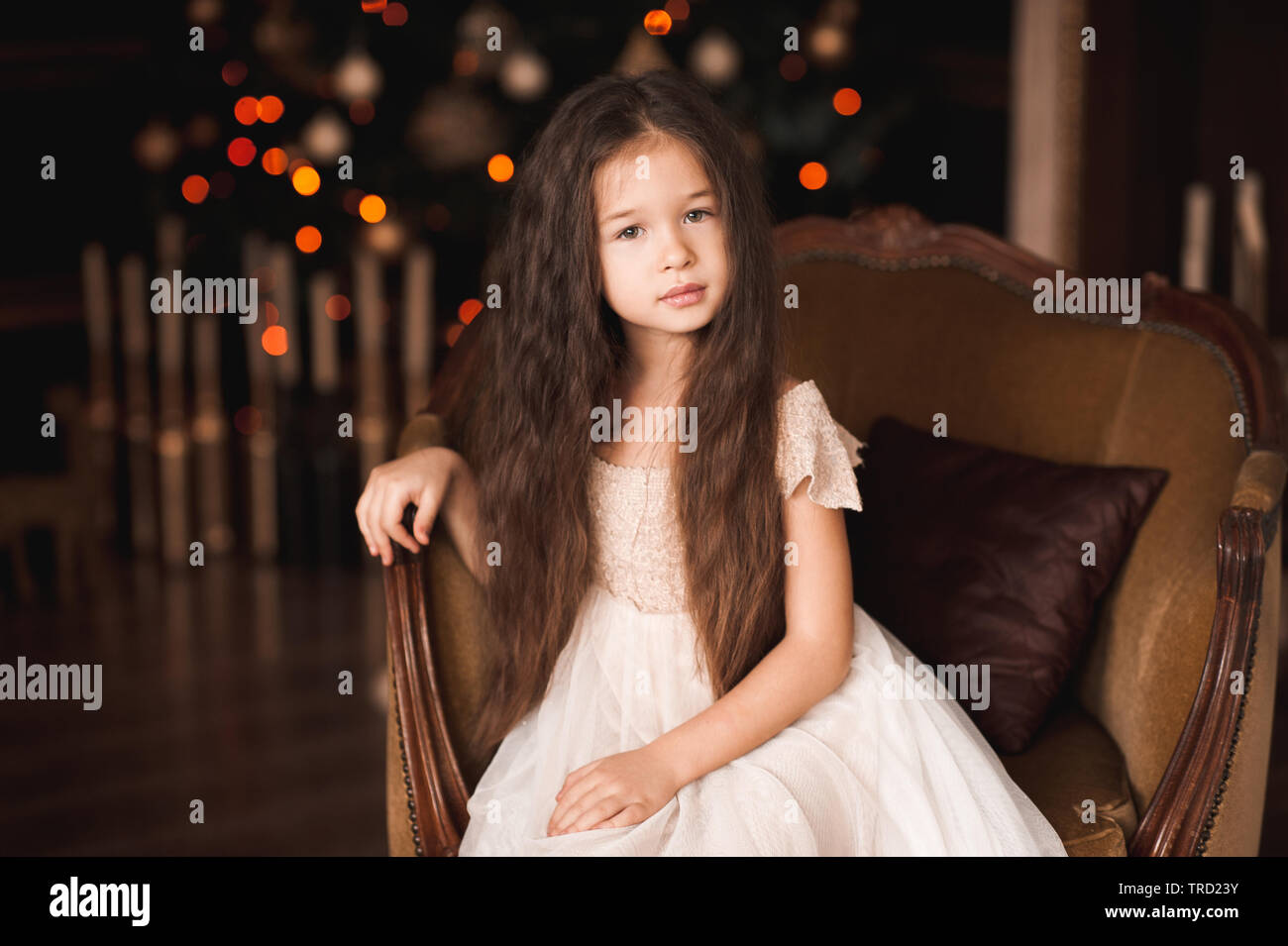 Beautiful kid girl 5 6 year old wearing stylish dress sitting in vintage armchair over Christmas tree in room. Looking at camera. Holiday season Stock Photo Alamy
