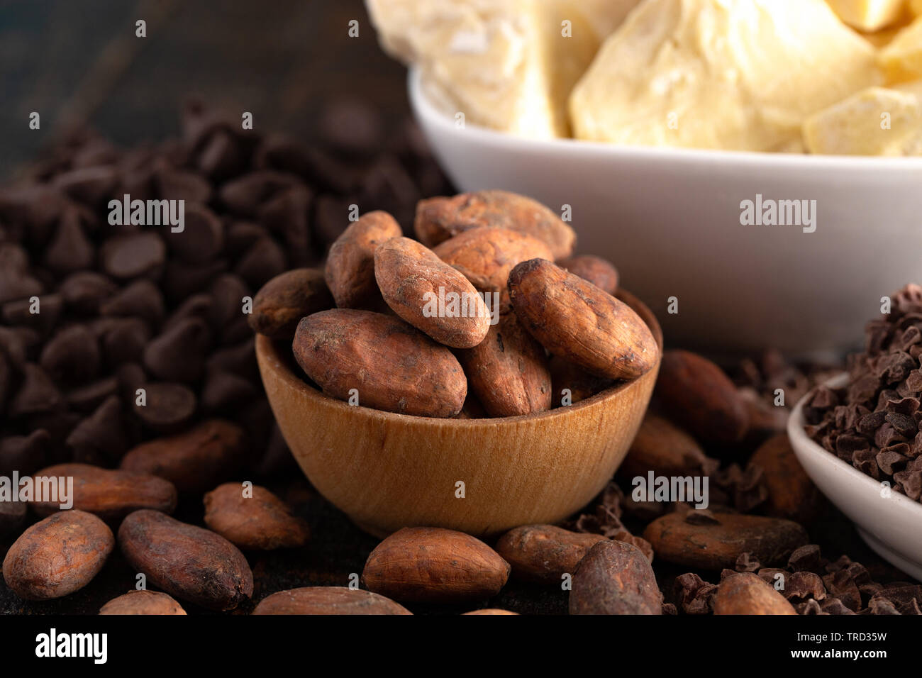 Various Stages of Chocolate Production Cocoa Nibs Cocoa Butter Cocoa