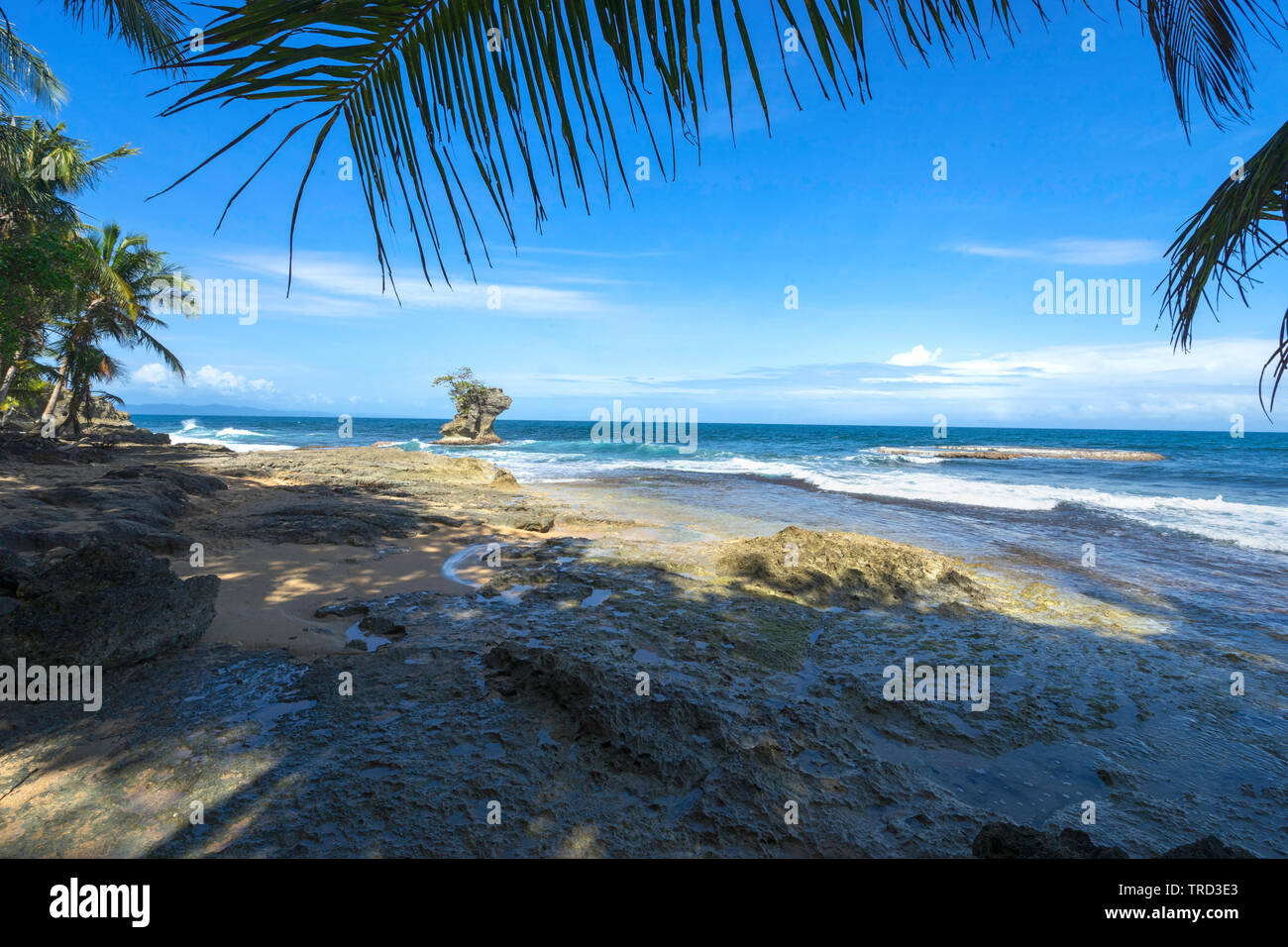 BEAUTIFUL BLUE MORNING ON THE CRYSTAL CLEAR CARIBBEAN OCEAN AND BEACH WITH PALMS, WAVES AND CLOUDS Stock Photo