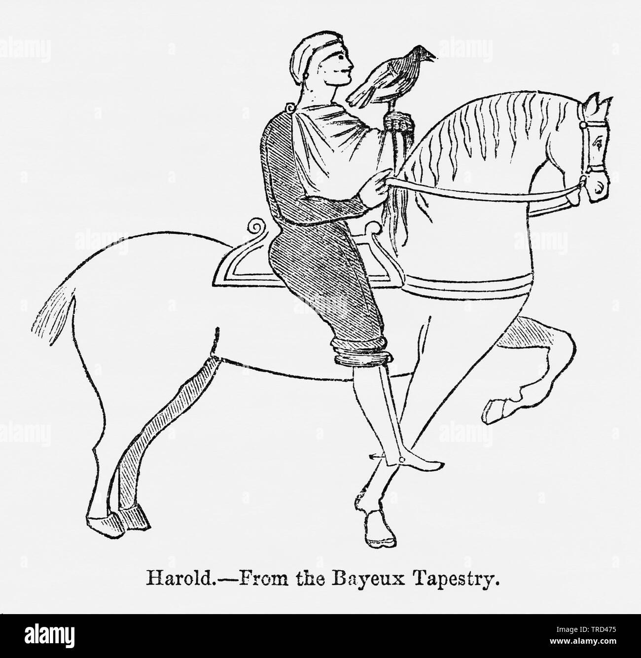 Harold, from the Bayeux Tapestry, Harold II Riding on Horse with Hawk Perched on his Hand, Illustration from John Cassell's Illustrated History of England, Vol. I from the earliest period to the reign of Edward the Fourth, Cassell, Petter and Galpin, 1857 Stock Photo