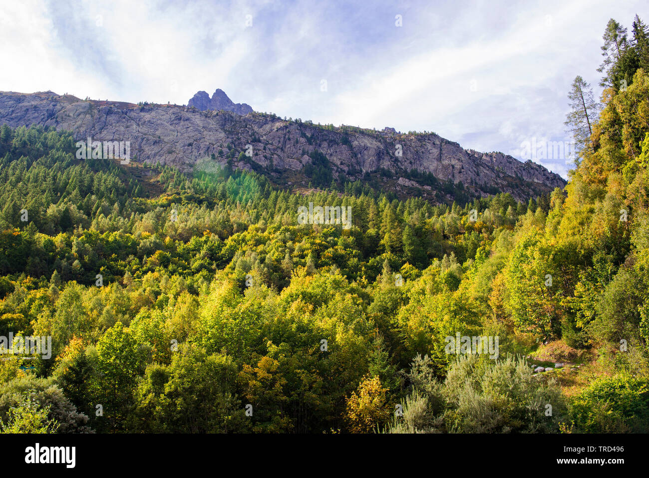 Fall Colors in French Alps, Chamonix, French Alps, Savoy, France Stock Photo