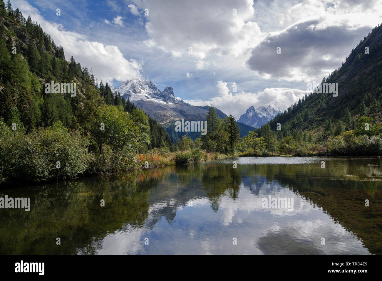 French Alps reflected in Mountain Lake, Chamonix, French Alps, Savoy, France, Europe Stock Photo