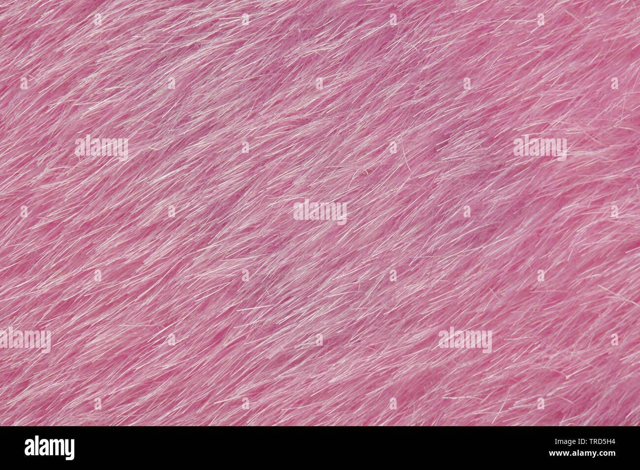 Pink long fur background close up view. Soft hairy backdrop Stock Photo