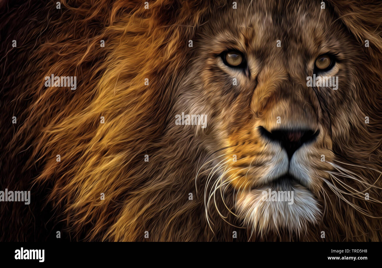 Lion King of Beasts, Wild & Animals Stock Photo