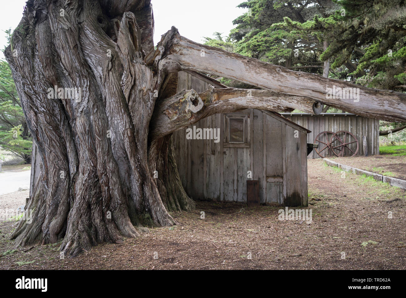 Whalers Cabin Stock Photos Whalers Cabin Stock Images Alamy
