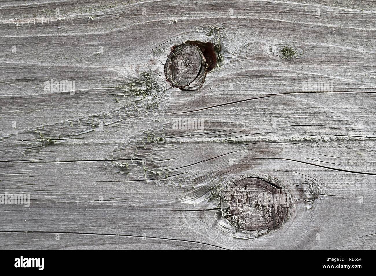 Plank Log Close up view on detailed wooden plank and log surfaces in high ...