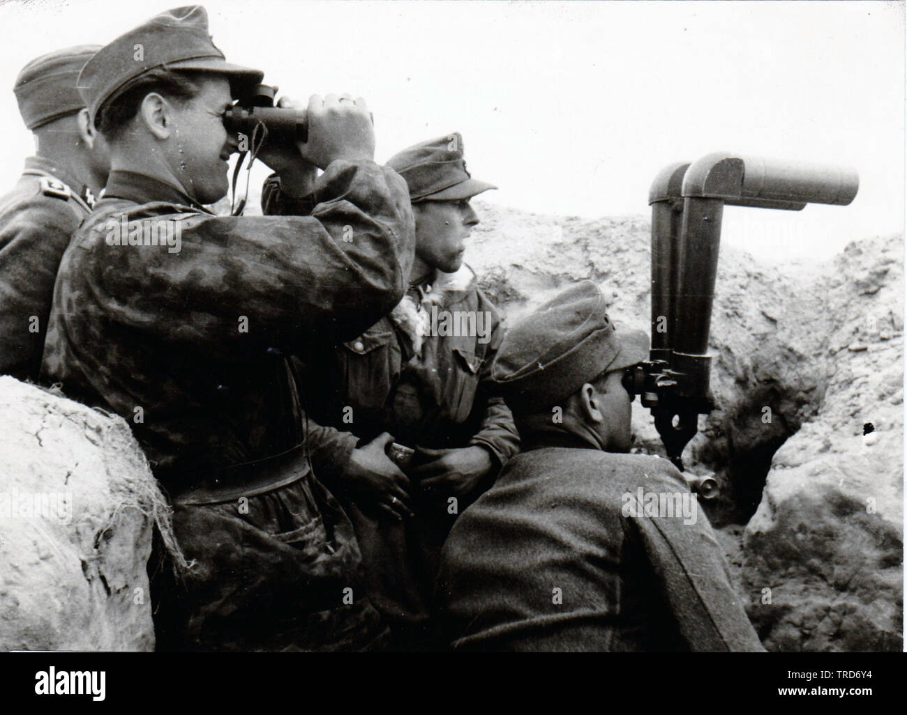 Waffen SS Officers from the Wiking SS Panzer Division using Scissor Scope in Poland on the Eastern Front 1944 PK SS KB Ernst Baumann Stock Photo