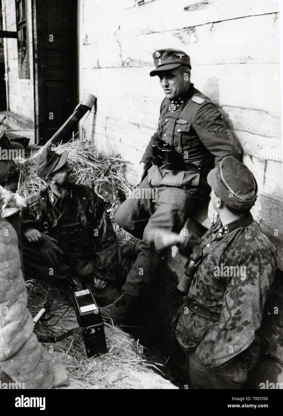Waffen SS Officers of the SS Panzer Division Wiking in a Command post in Poland July 1944 on the Eastern Front  . Sturmbannführer Hans Dorr at the back PK SS KB Ernst Baumann Stock Photo
