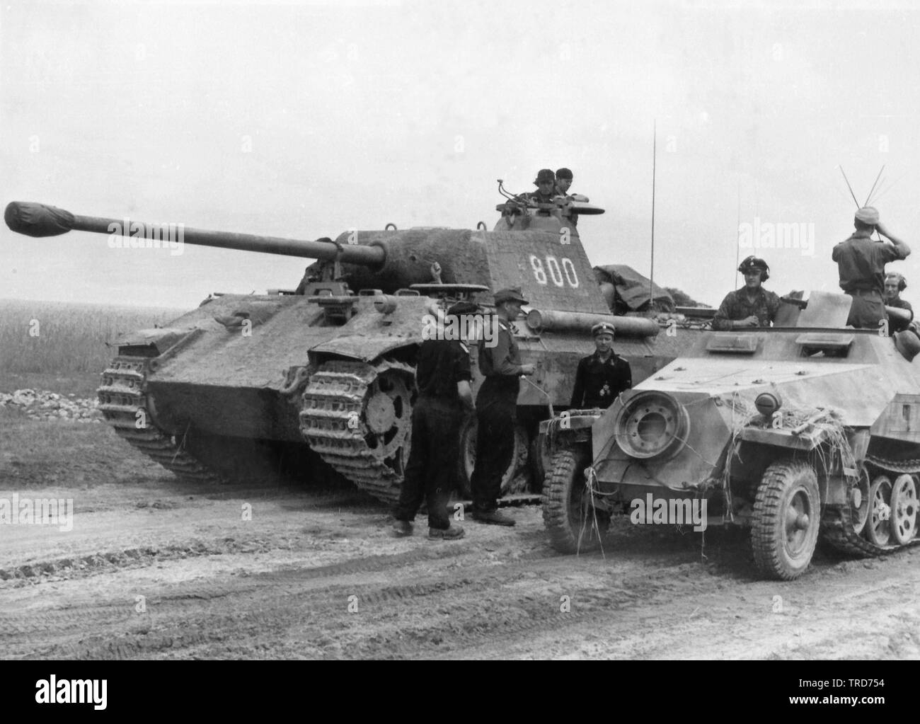 German Panzer Panther Tank of the Waffen SS Panzer Division Wiking with a 251D Halftrack in the Spring of 1944 0n the Eastern Front Stock Photo