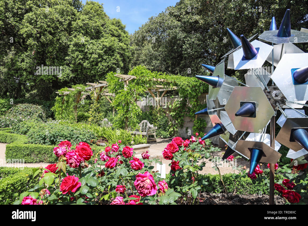 Pollen, by Georgia Ingram, Plymouth College of Art, BS (Hons) Sculpture to the fore in the Rose Garden at Mount Edgcumbe Park Cornwall June 2019 Stock Photo