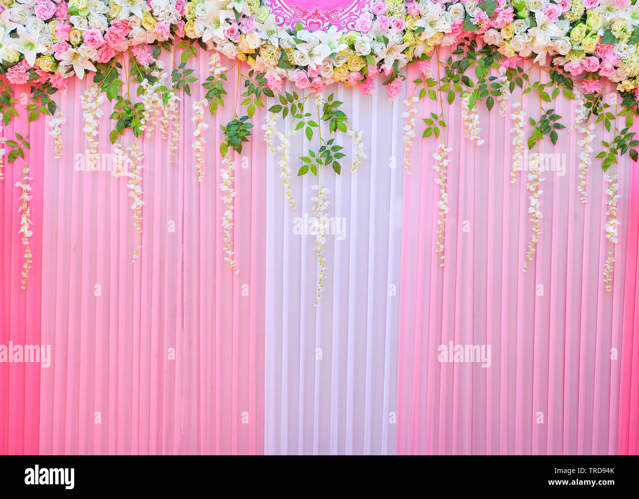 Backdrop wedding background romantic flower and green leaf decoration plant  beautiful pink curtain Stock Photo - Alamy