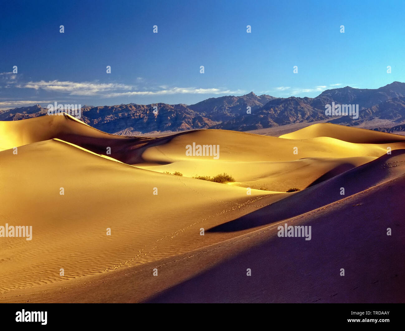 Sand Dunes in Death Valley, California Stock Photo Alamy