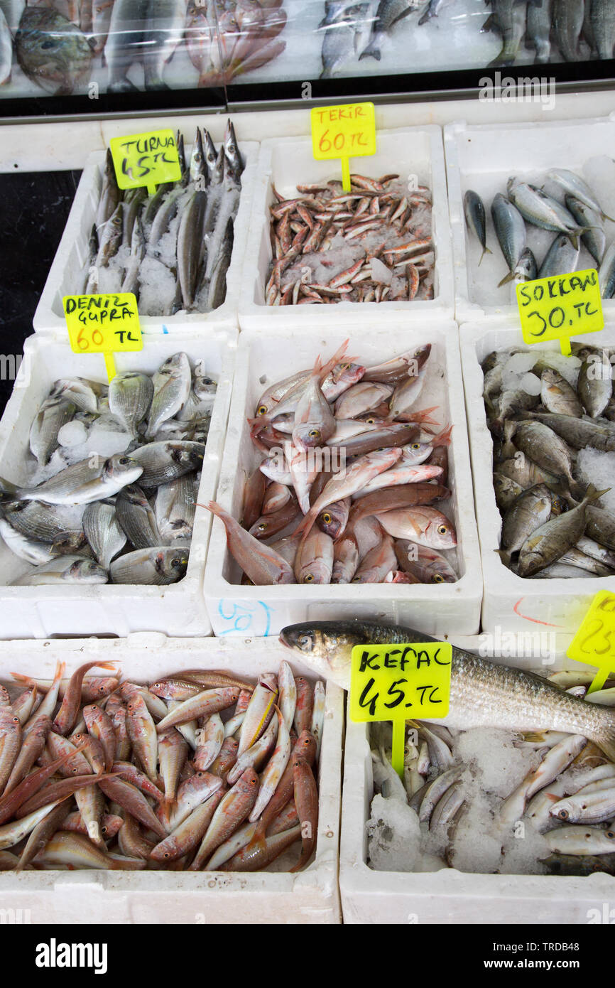 Fresh fish stall at the indoor market, Marmaris, Mugla province, Turkey Stock Photo