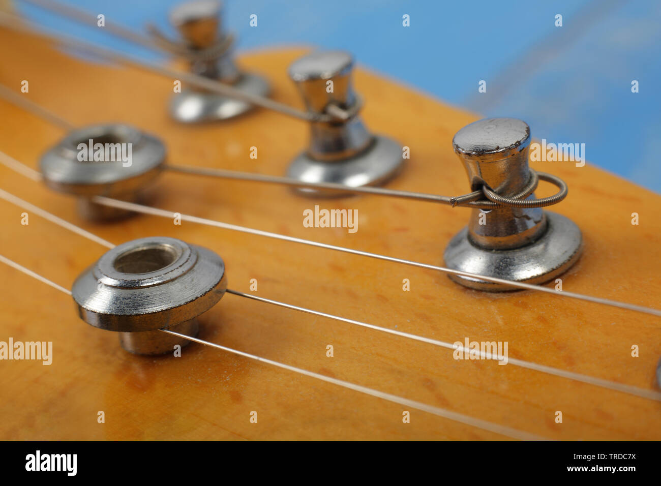 Musical instrument - Fragment headstock peghead neck tuning peg electric guitar on a blue wood background. Stock Photo