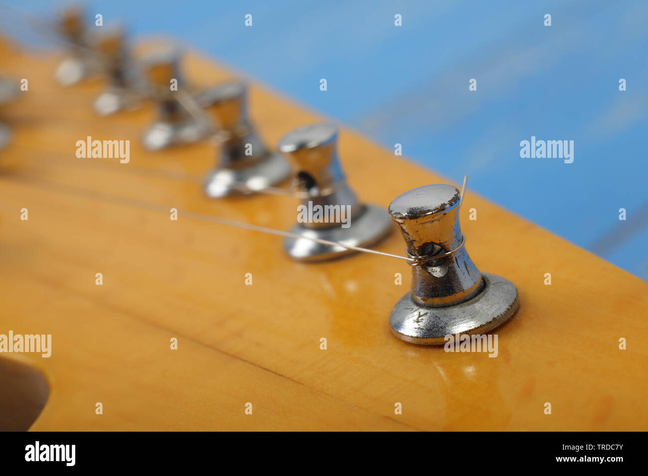 Musical instrument - Fragment headstock peghead neck tuning peg electric guitar on a blue wood background. Stock Photo