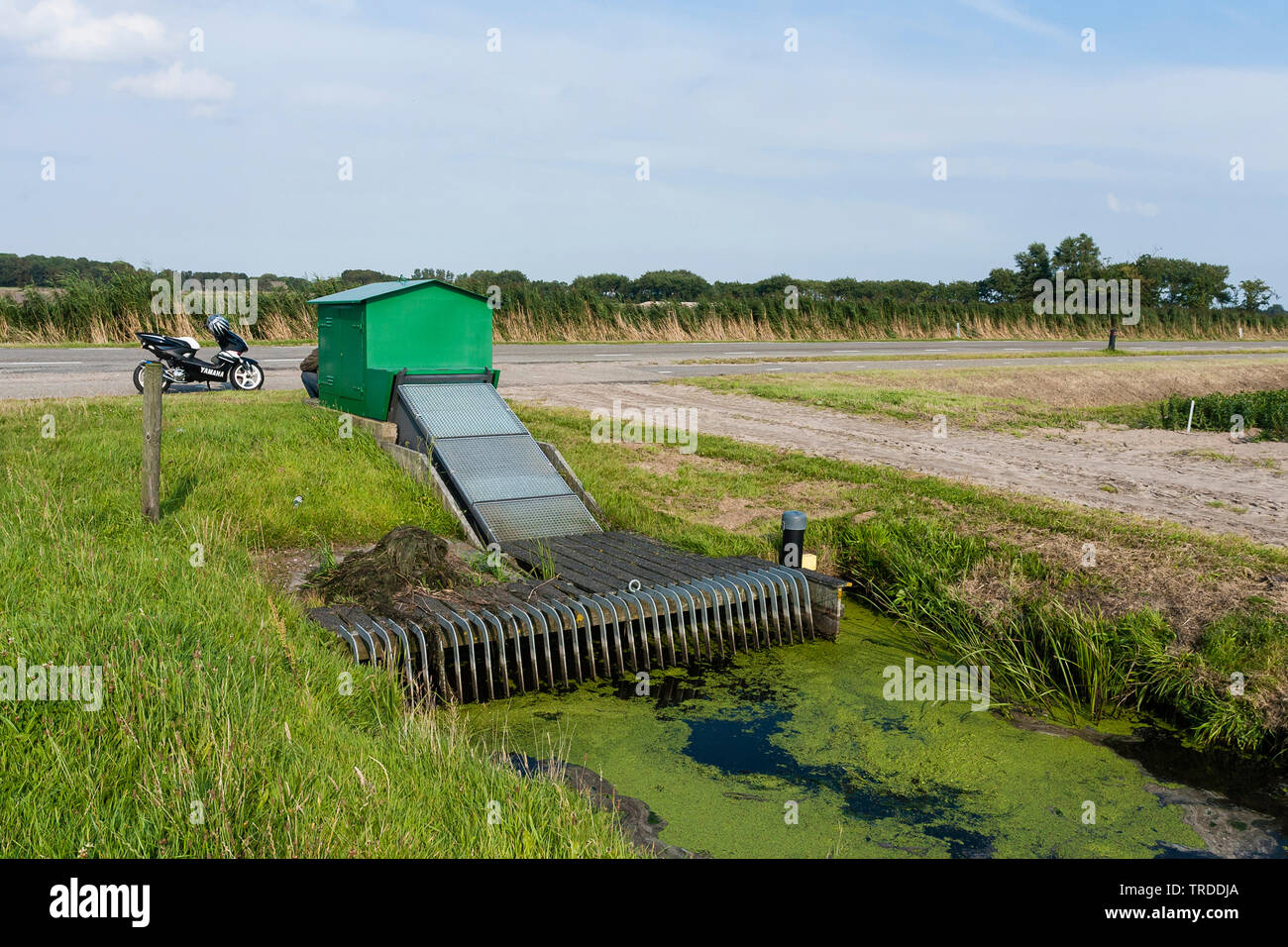 Water pumping station at ditch covered by duckweed, Netherlands, Frisia, Warkumerwaard Stock Photo