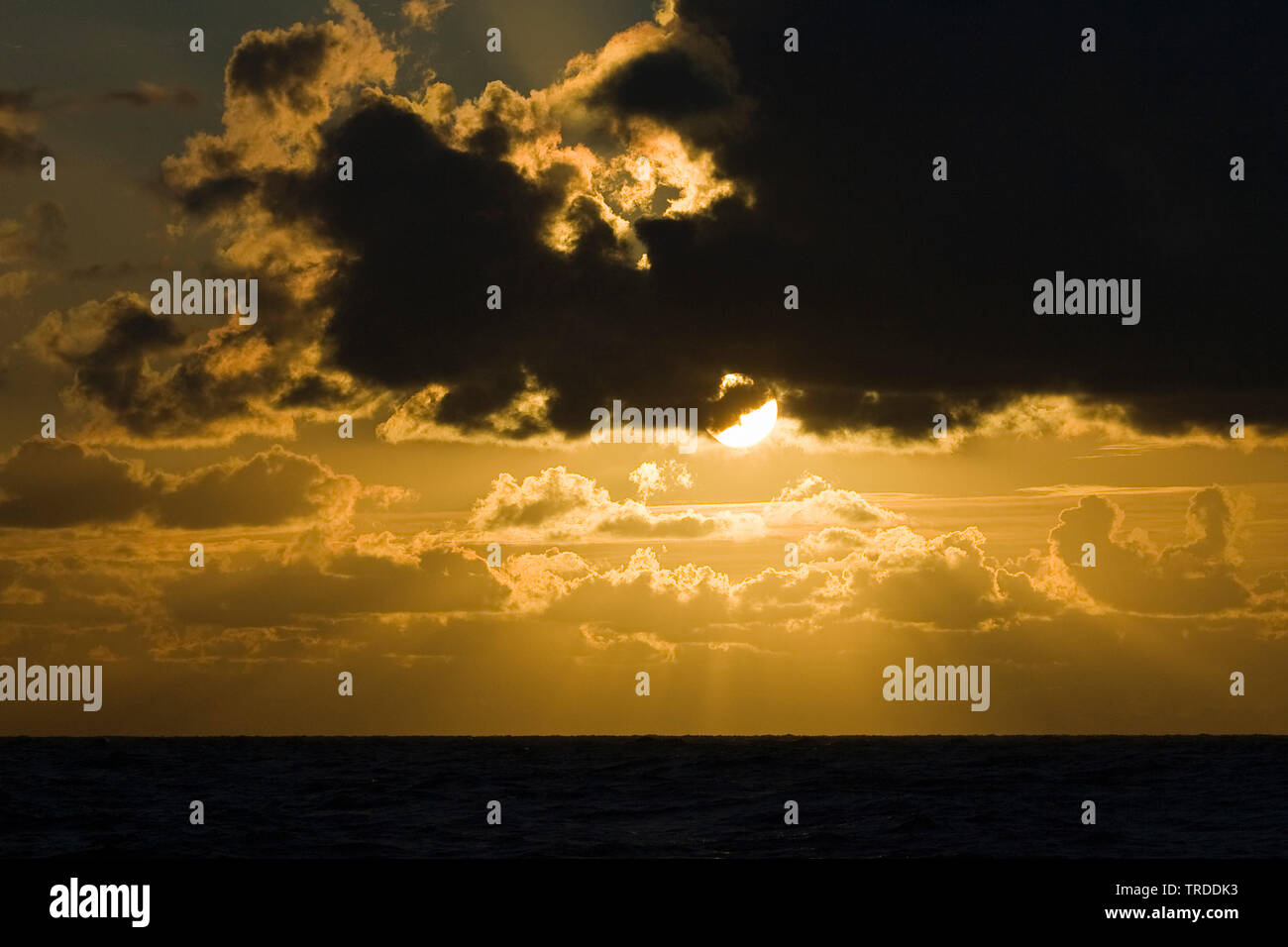 Golden sunset and dark clouds over North Sea in summer, Netherlands Stock Photo