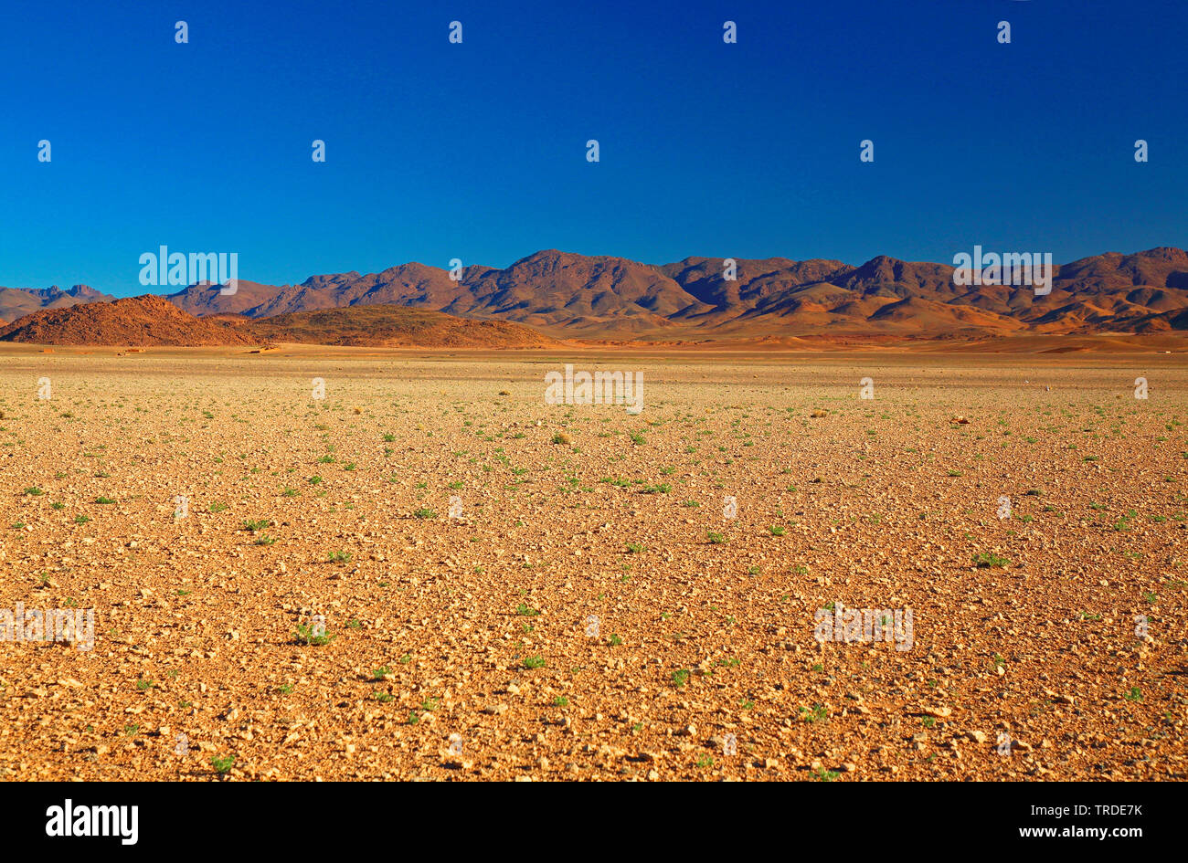 plateau with Djabal Saghro massif in background, Morocco, Boumalne Dades Stock Photo