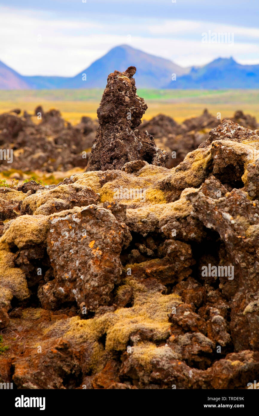 lava field Berserkjahraun, Iceland, Vesturland, Snaefellsnes Stock Photo
