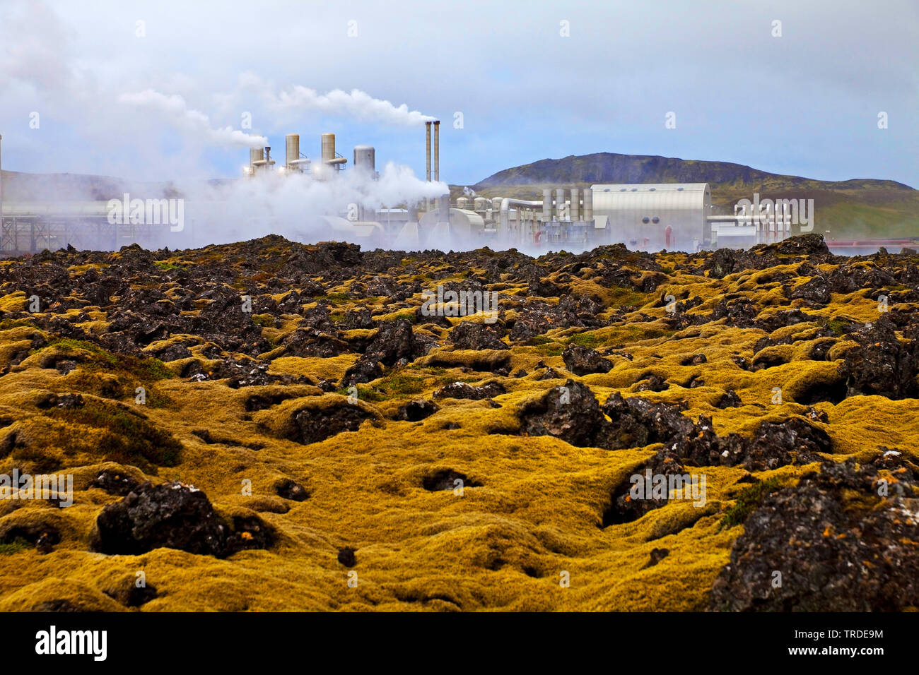 moss-covered lava field Illahraun with geothermal power station Svartsengi, Iceland, Reykjanes Peninsula, Reykjanes Peninsula Stock Photo