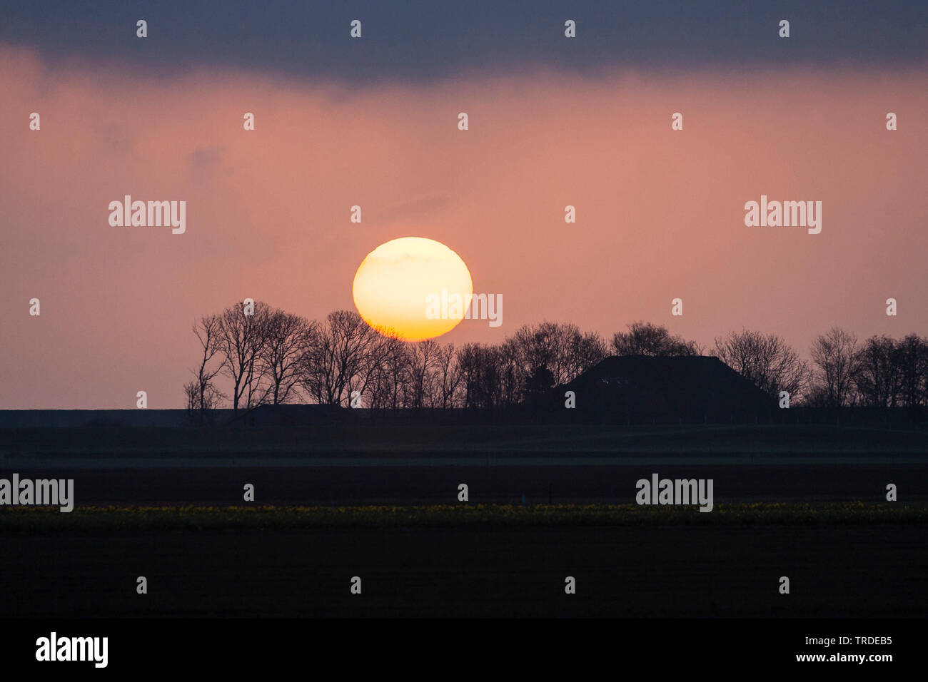 Farmland and farm with big rising sun at Nijkerk, Netherlands, Northern Netherlands, Ouderkerk Stock Photo