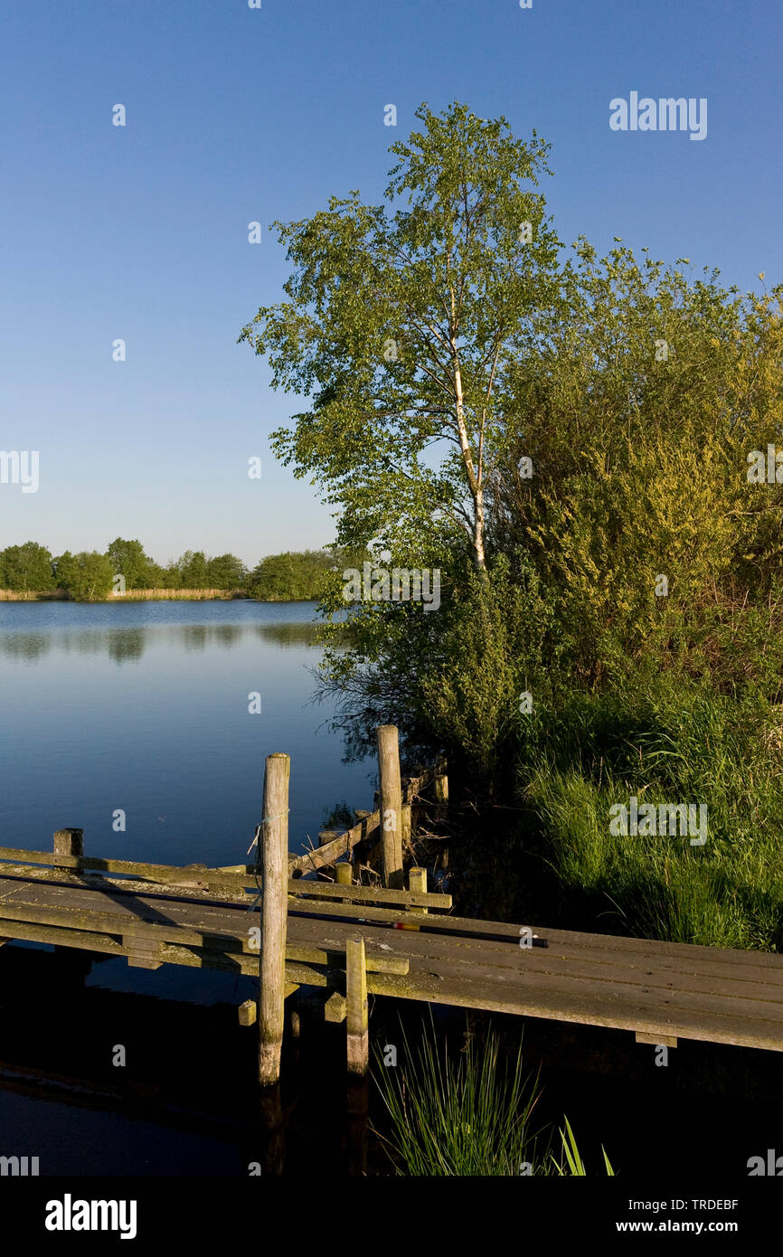 Landing stage at lake, Netherlands, Frisia, Rottige Meente Stock Photo