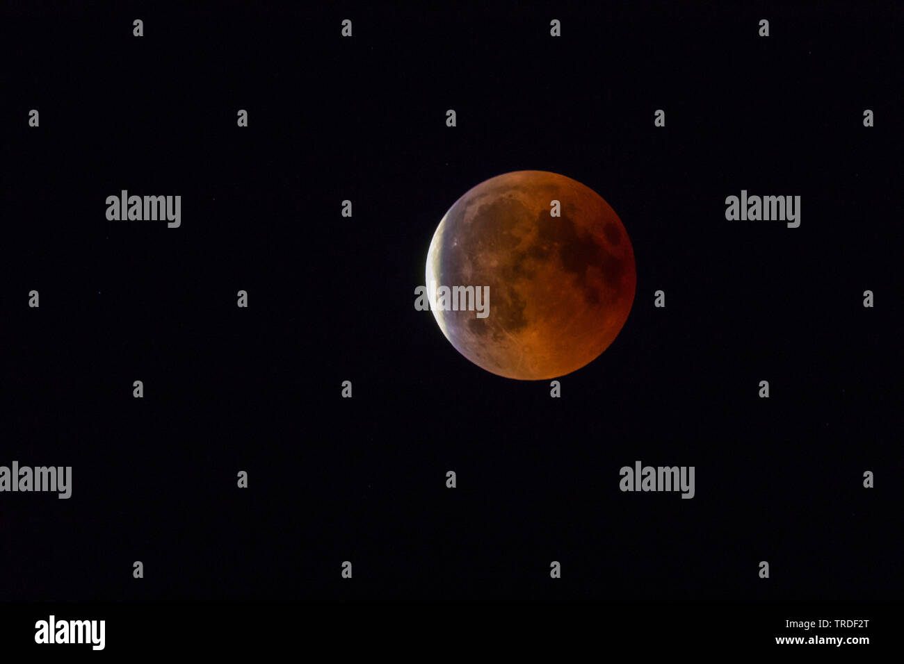 15 PNG Digital Blood Moon Lunar Phases Instant Download 