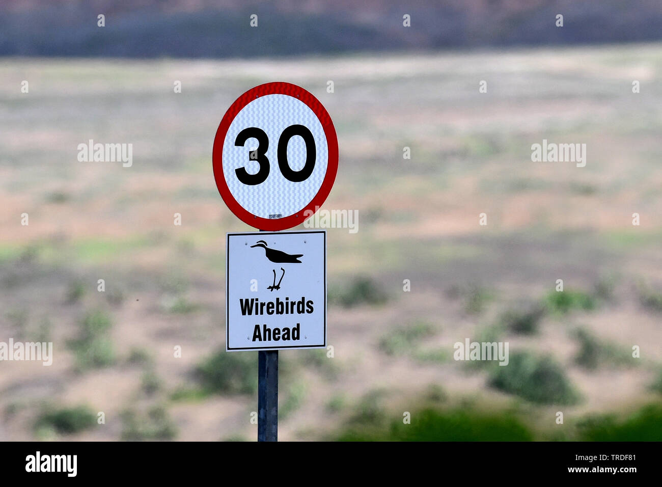 St helena south atlantic road hi-res stock photography and images - Alamy
