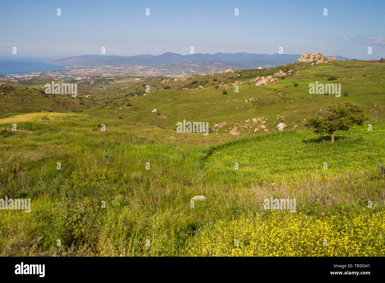 spring landscape on Cyprus, Cyprus Stock Photo