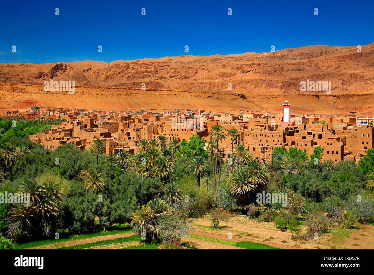 town and oasis, Morocco, Hoher Atlas, Tinghir Stock Photo