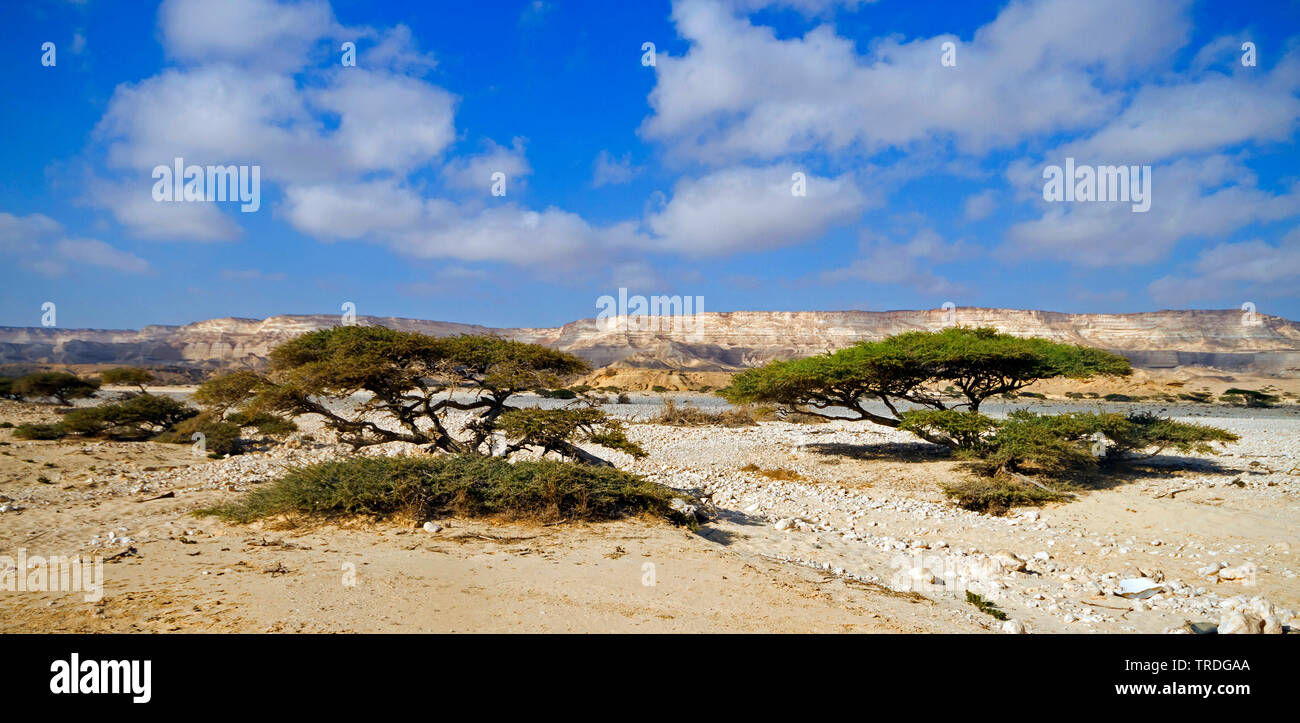 Landscape Wadi at Ash Shuwaymiyah, Oman Stock Photo