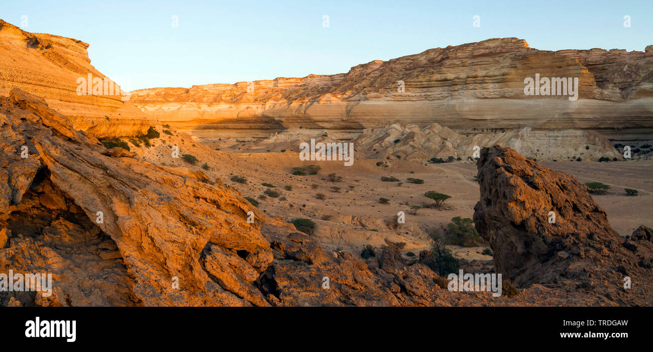 Landscape Wadi at Ash Shuwaymiyah, Oman Stock Photo