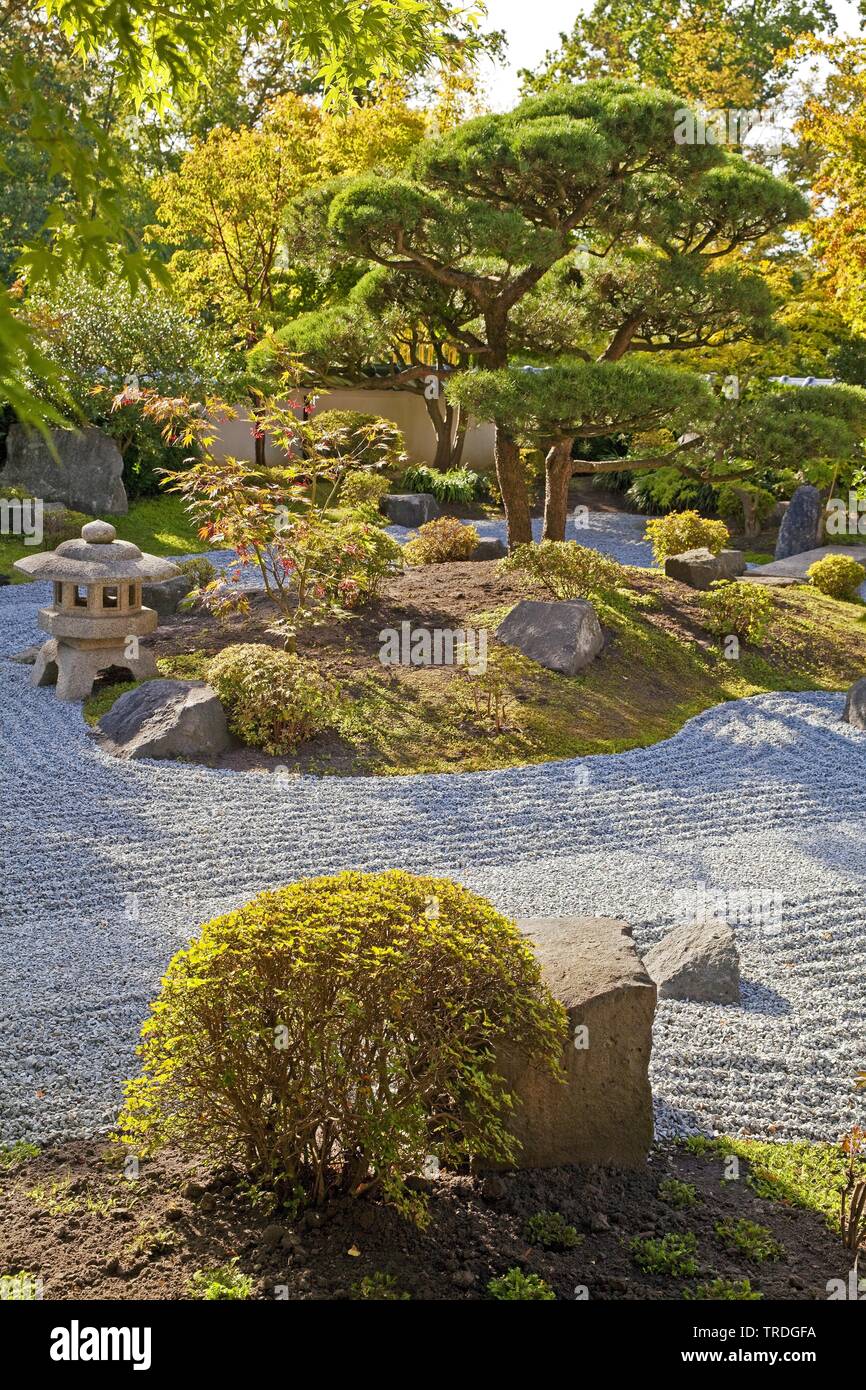 Japanese garden, Germany, North Rhine-Westphalia, East Westphalia, Bielefeld Stock Photo