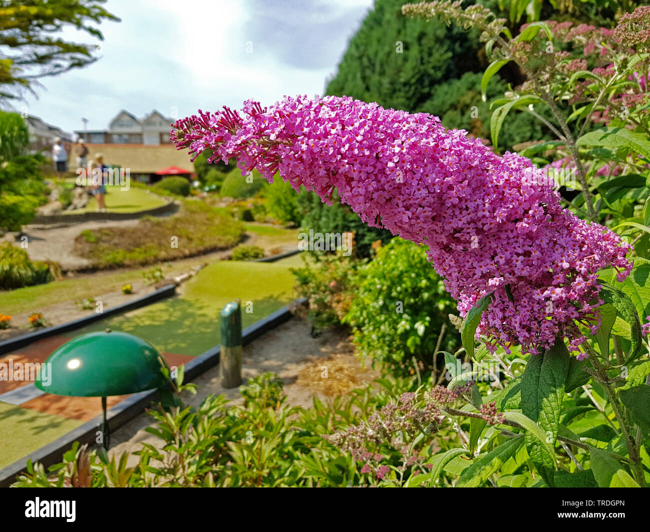 Miniature Golf Course High Resolution Stock Photography And Images Alamy