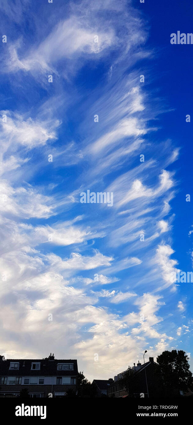 cirrus clouds in the sky, Netherlands, Noordwijk aan Zee Stock Photo