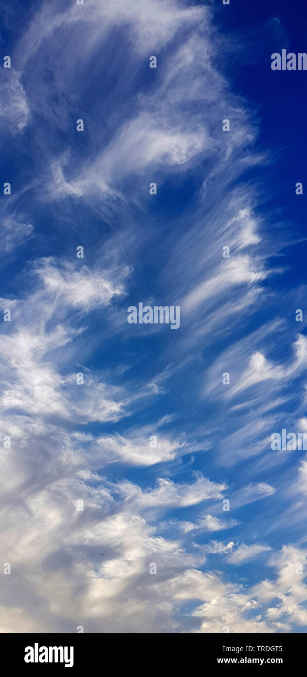 cirrus clouds in the sky, Netherlands, Noordwijk aan Zee Stock Photo