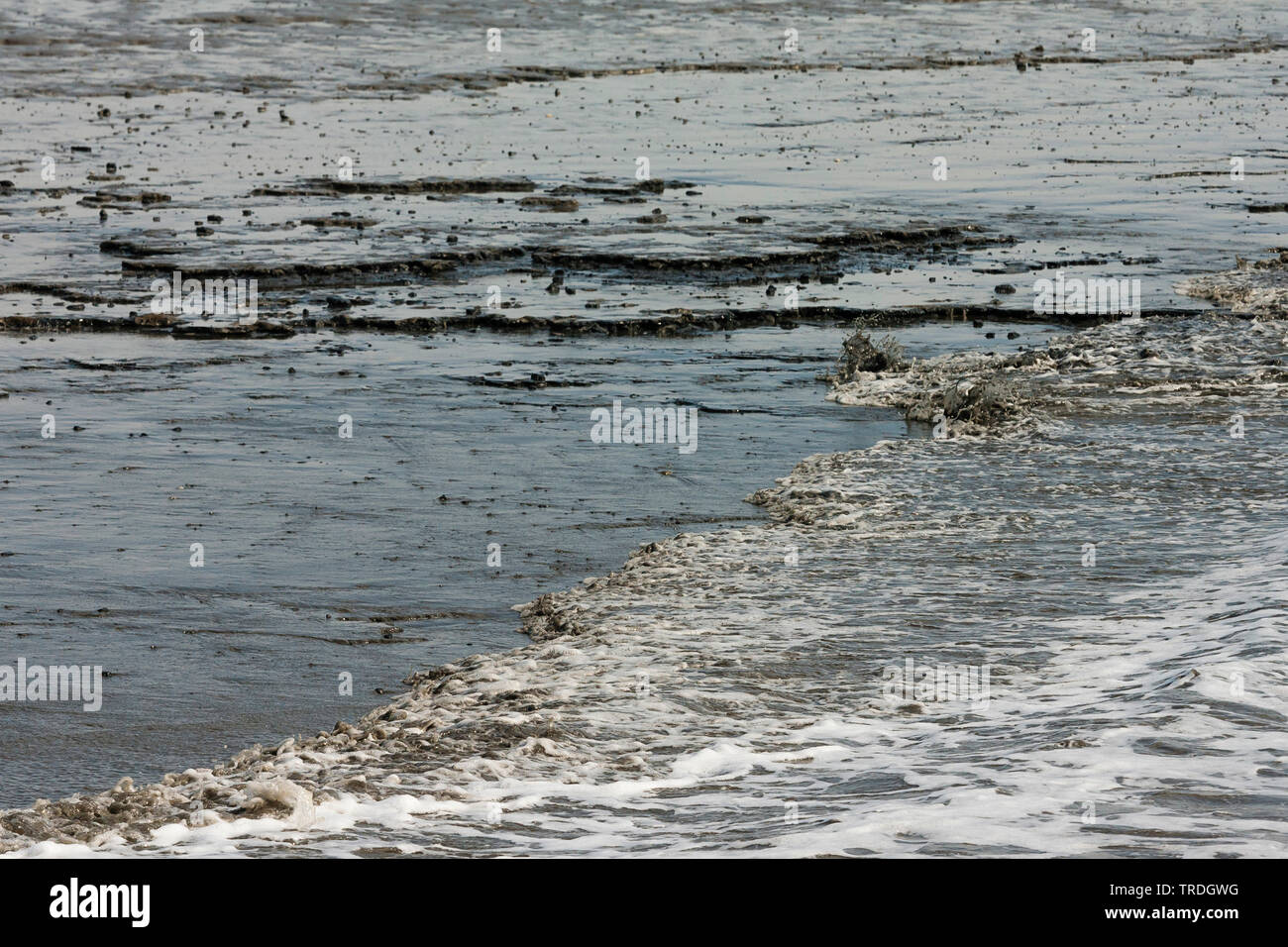 Dried up Wadden Sea at Schiermonnikoog, Netherlands, Schiermonnikoog Stock Photo