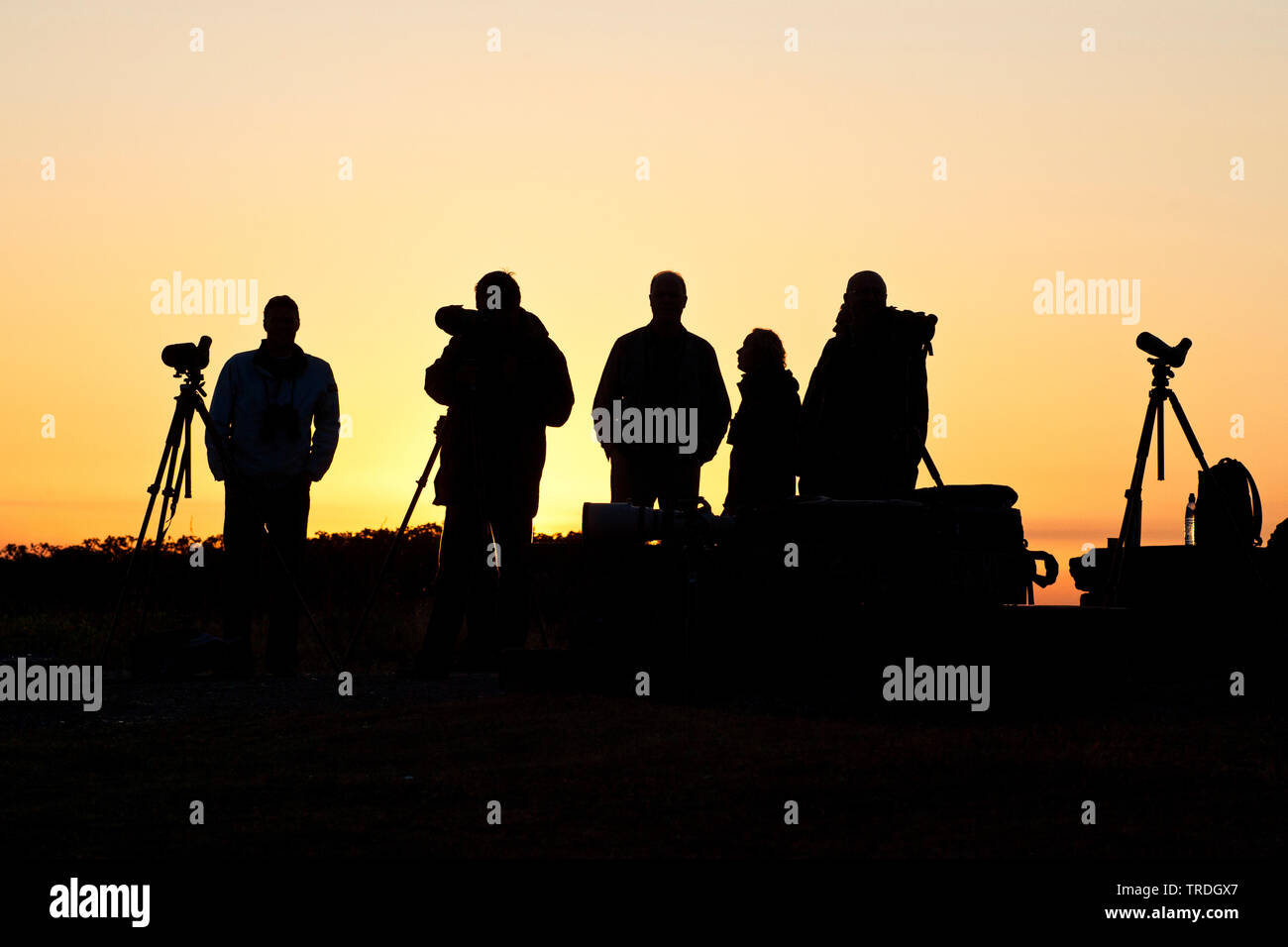 Migration watchpoint de Puinhoop, Netherlands, South Holland, Trektelpost de Puinhoop, Katwijk Stock Photo