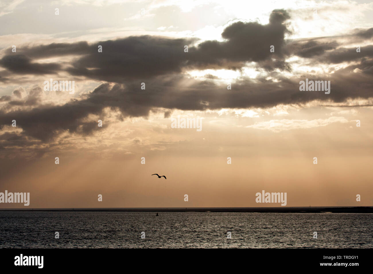 Sunset over sea at Texel in spring, Netherlands, Texel Stock Photo