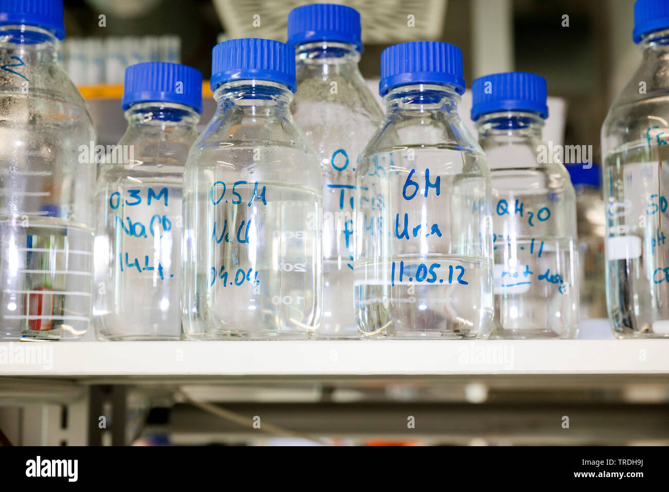 Close up portrait of reseach laboratory with filled laboratory