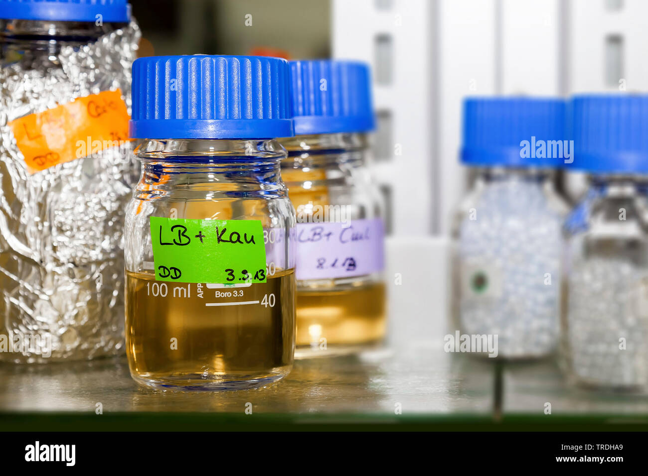 Close up portrait of reseach laboratory with filled laboratory