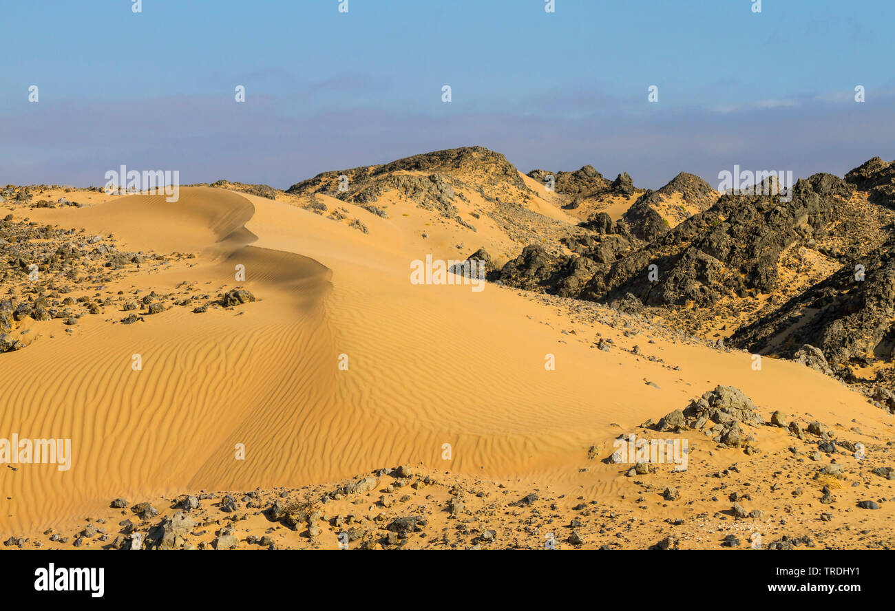 central desert of Oman, Oman Stock Photo