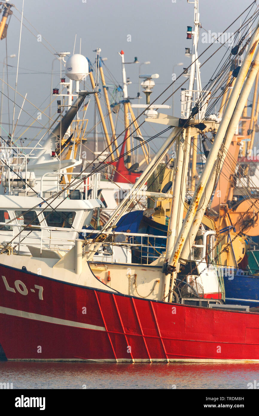 Boats in Harbour Lauwersoog, Netherlands, Groningen, Lauwersoog Stock Photo