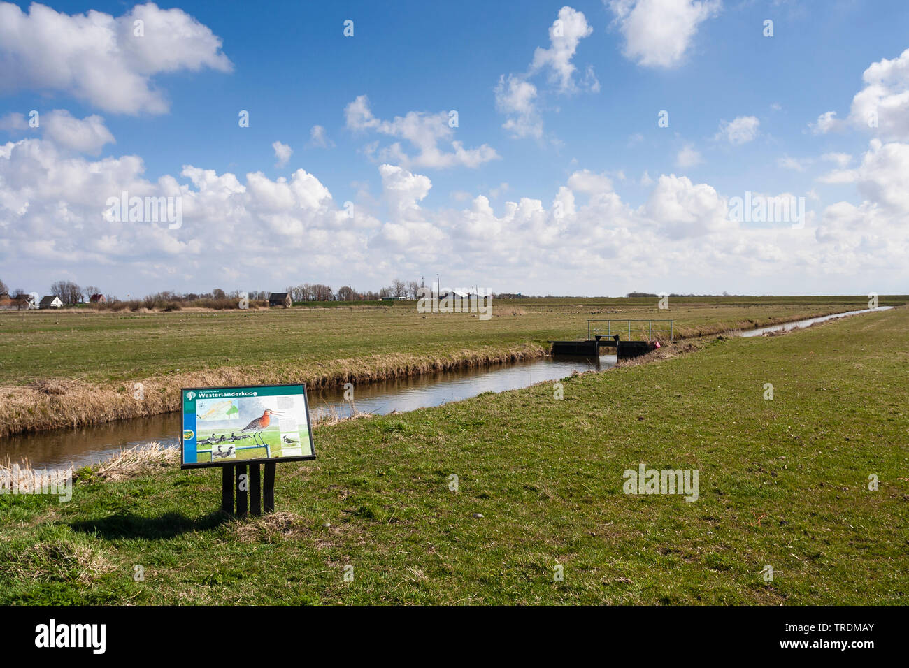 Sign of Staatsbosbeheer at the Westerlanderkoog in spring, Netherlands, Northern Netherlands, Westerlanderkoog Stock Photo