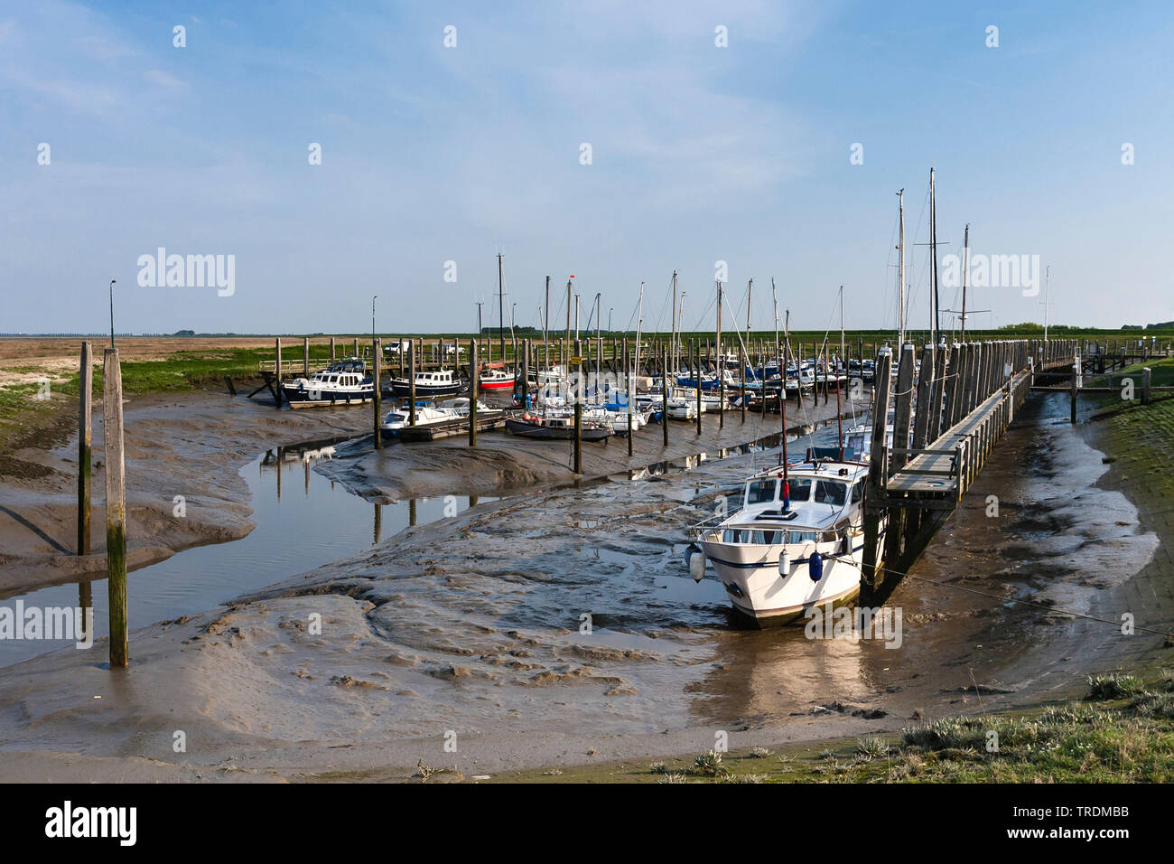 Dock at Drowned Land of Saeftinghe, Netherlands, Zeeland, Verdronken Land van Saeftinghe Stock Photo