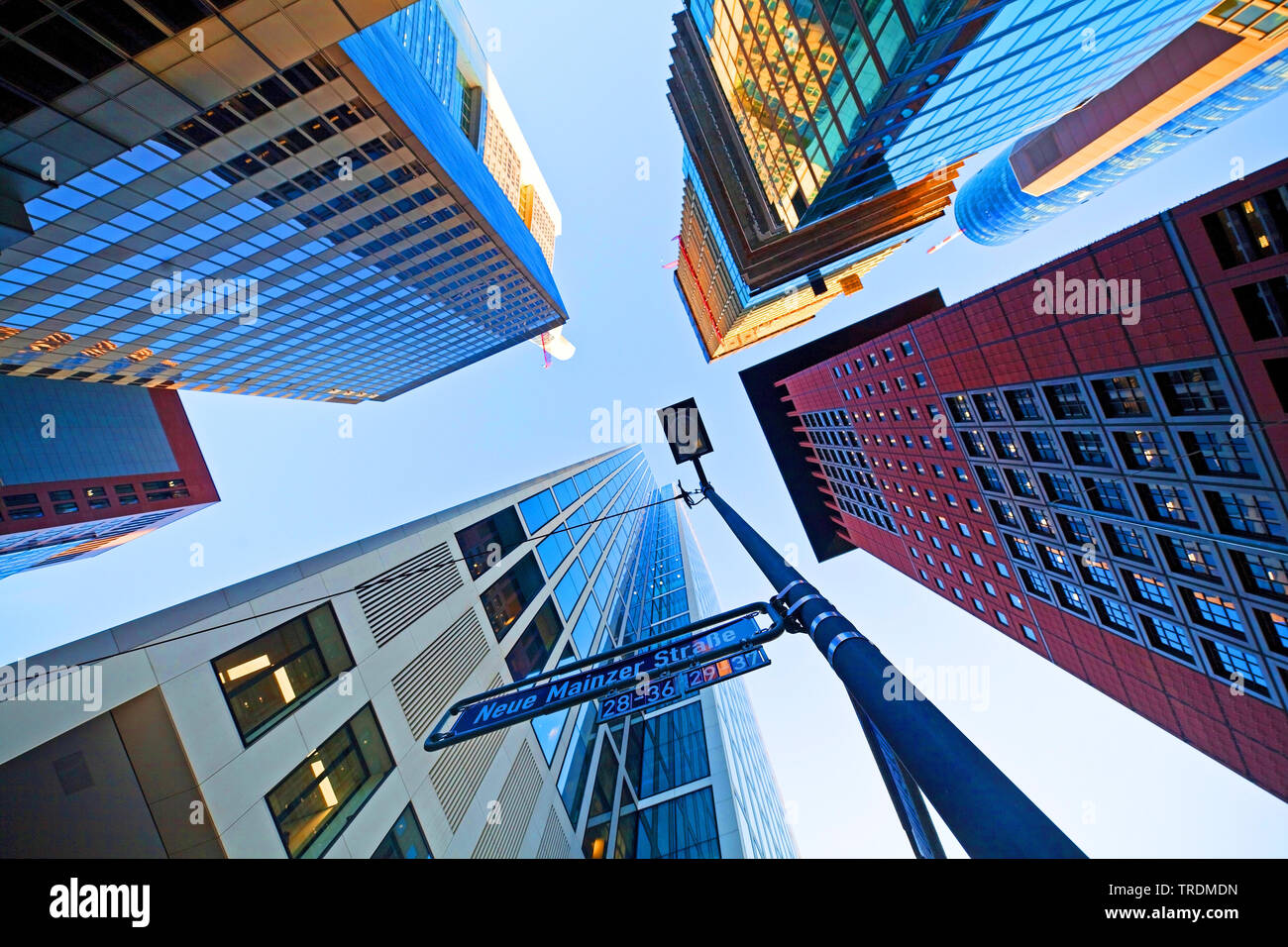 financial district with tower blocks from below, Neue Mainzer Strasse, Germany, Hesse, Frankfurt am Main Stock Photo