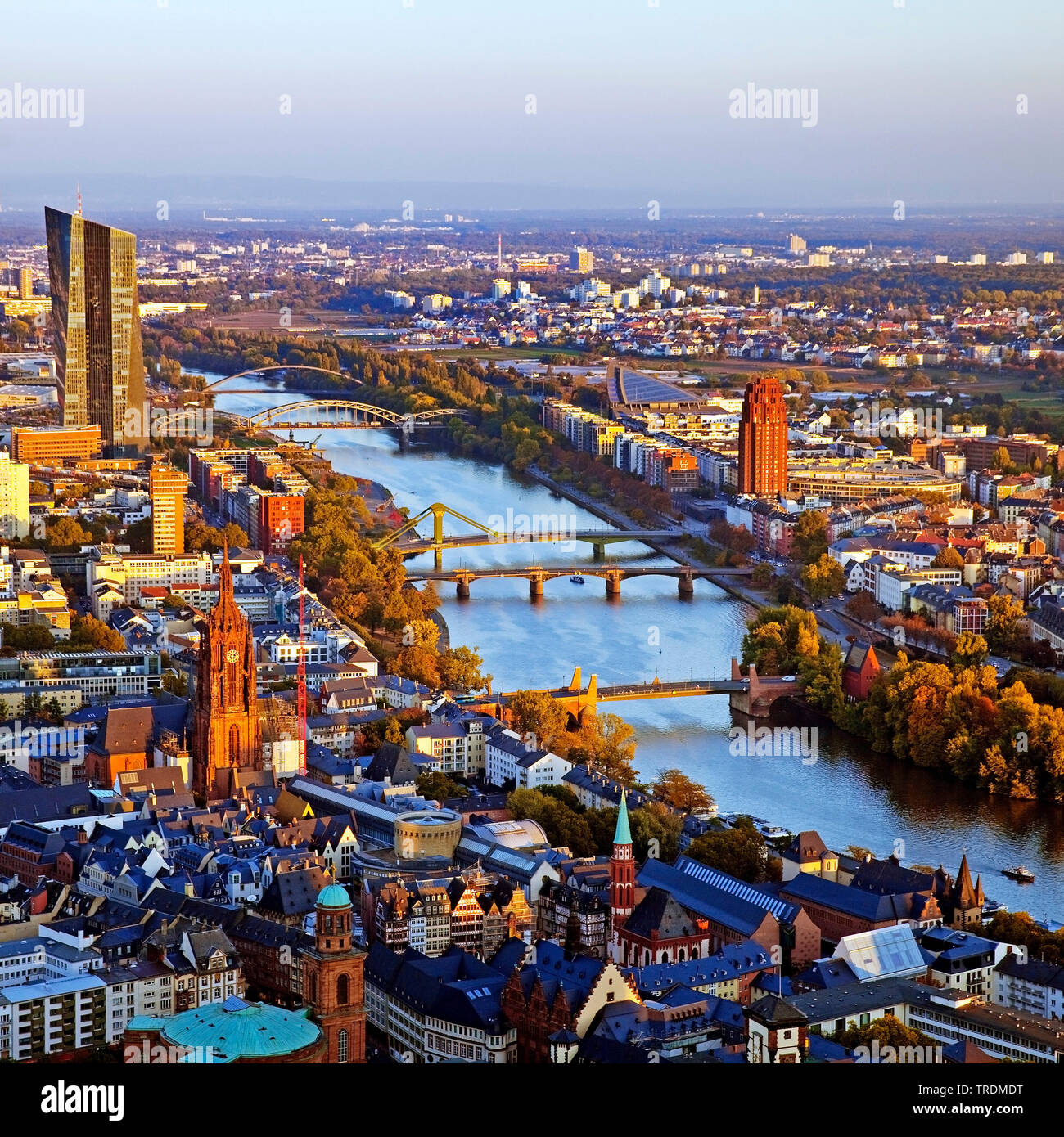 view from Maintower to European Central Bank, Main and Main Island , Germany, Hesse, Frankfurt am Main Stock Photo