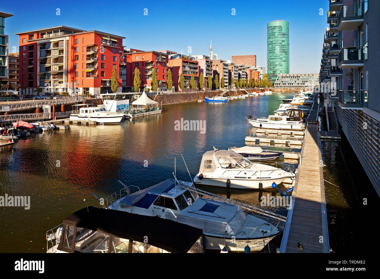 former west port and Westhafen Tower, Germany, Hesse, Frankfurt am Main Stock Photo